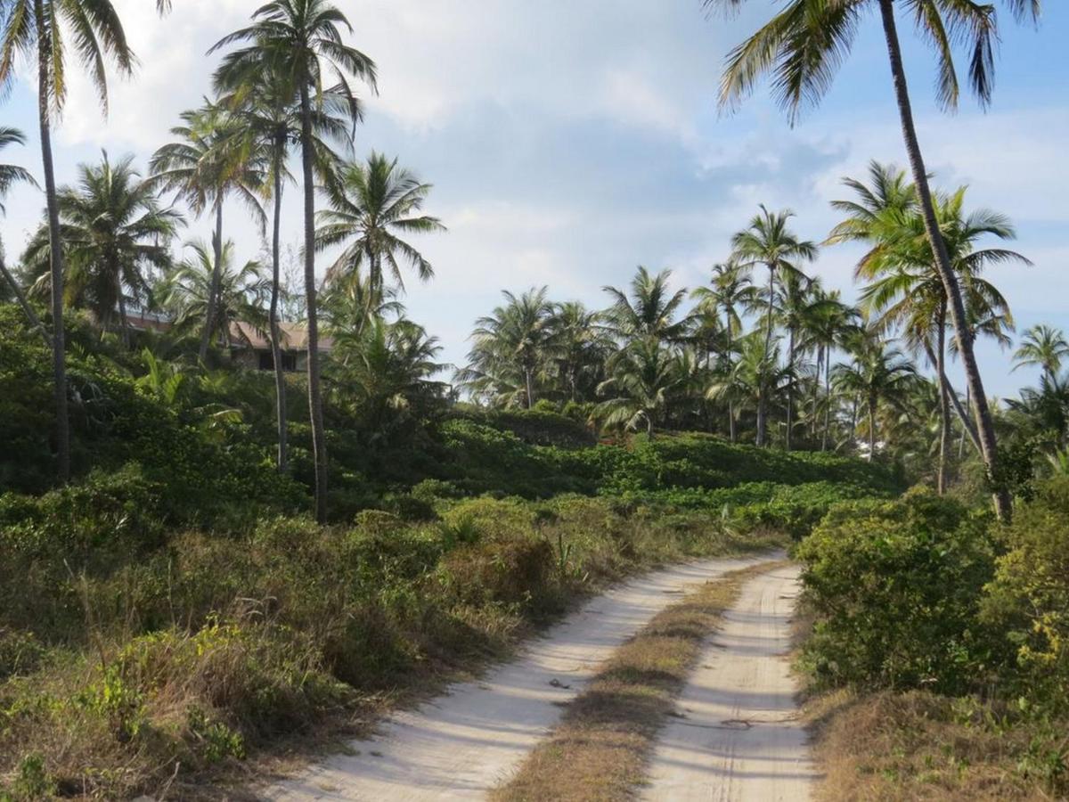 Orchid Cottage By Eleuthera Vacation Rentals 거버너스 하버 외부 사진